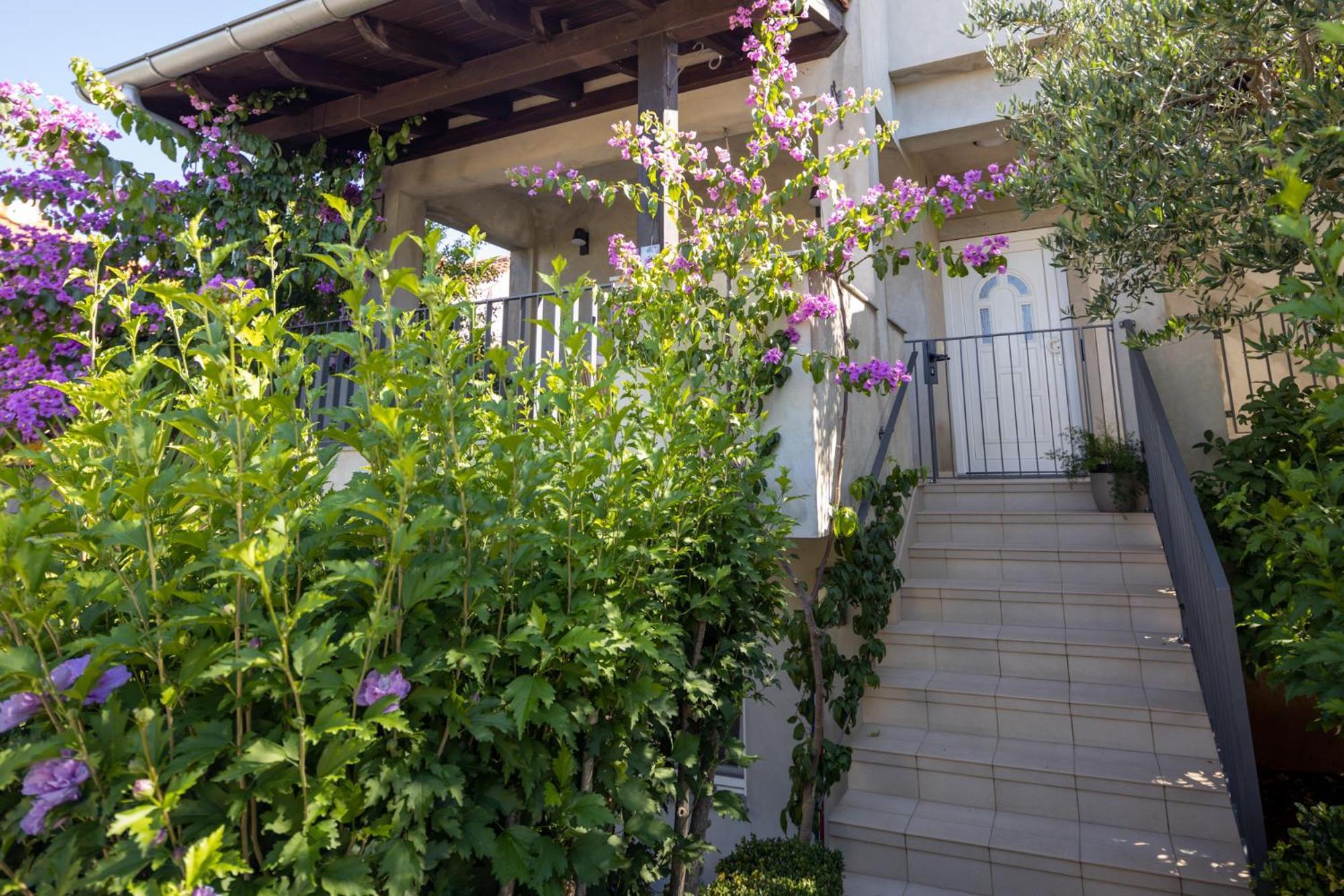 Lumaja luxury apartman Biograd Na Moru Bagian luar foto